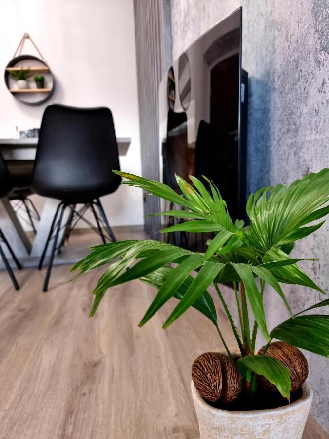 ילנייה גורה Apartament Jelonek W Karkonoszach מראה חיצוני תמונה