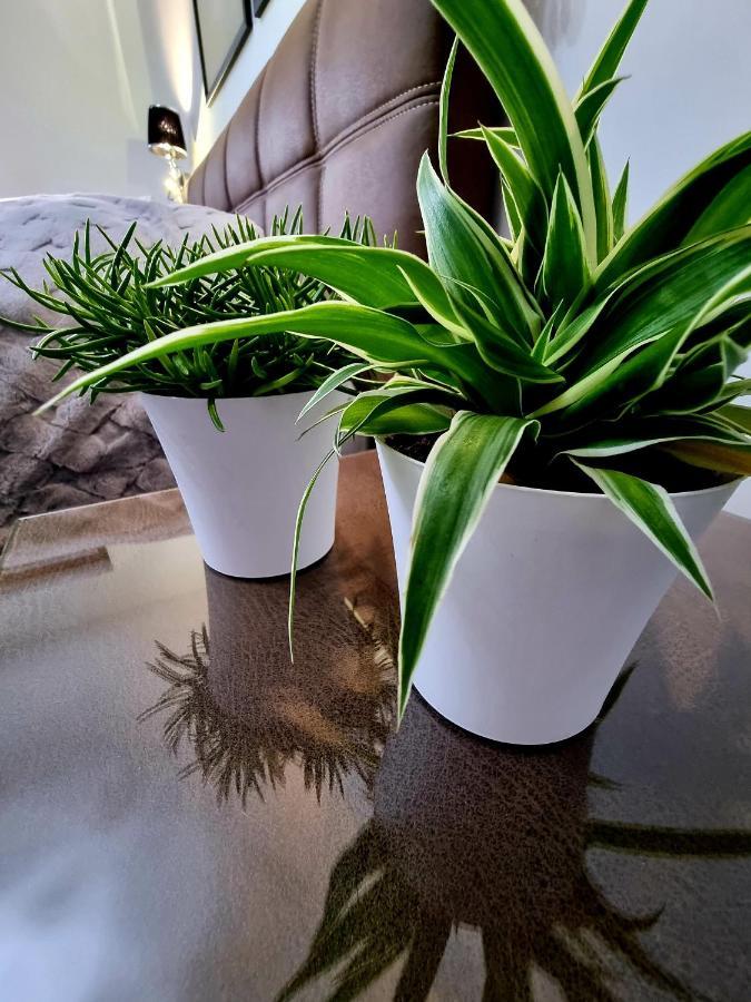 ילנייה גורה Apartament Jelonek W Karkonoszach מראה חיצוני תמונה