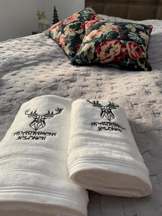 ילנייה גורה Apartament Jelonek W Karkonoszach מראה חיצוני תמונה